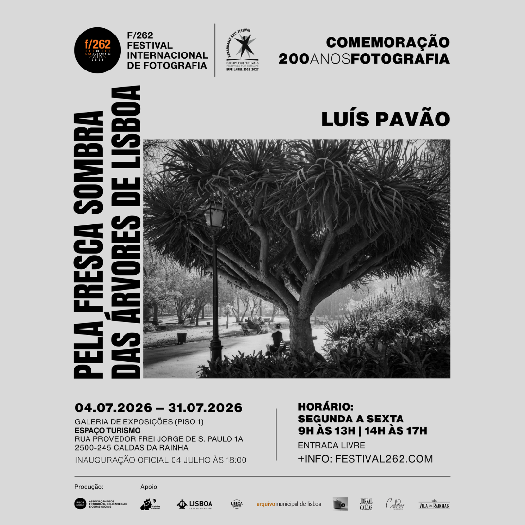 LUIS_PAVAO_POST_mini