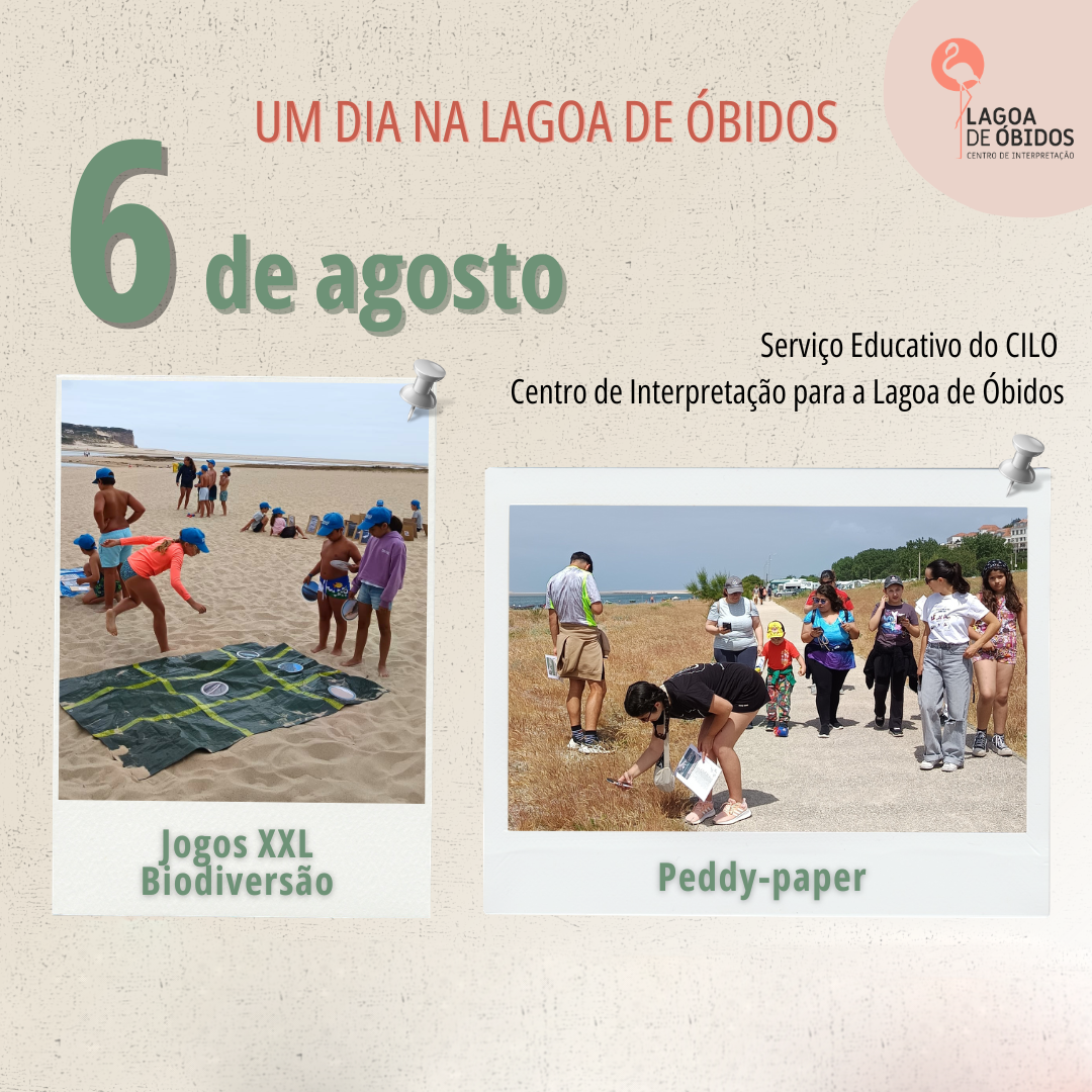 Passeio_Interpretativo_na_Lagoa_de_Obidos__CILO_1080_x_1350_pxmini