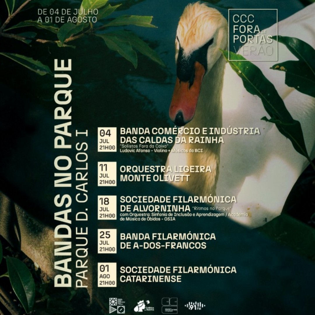 bandasparquemini