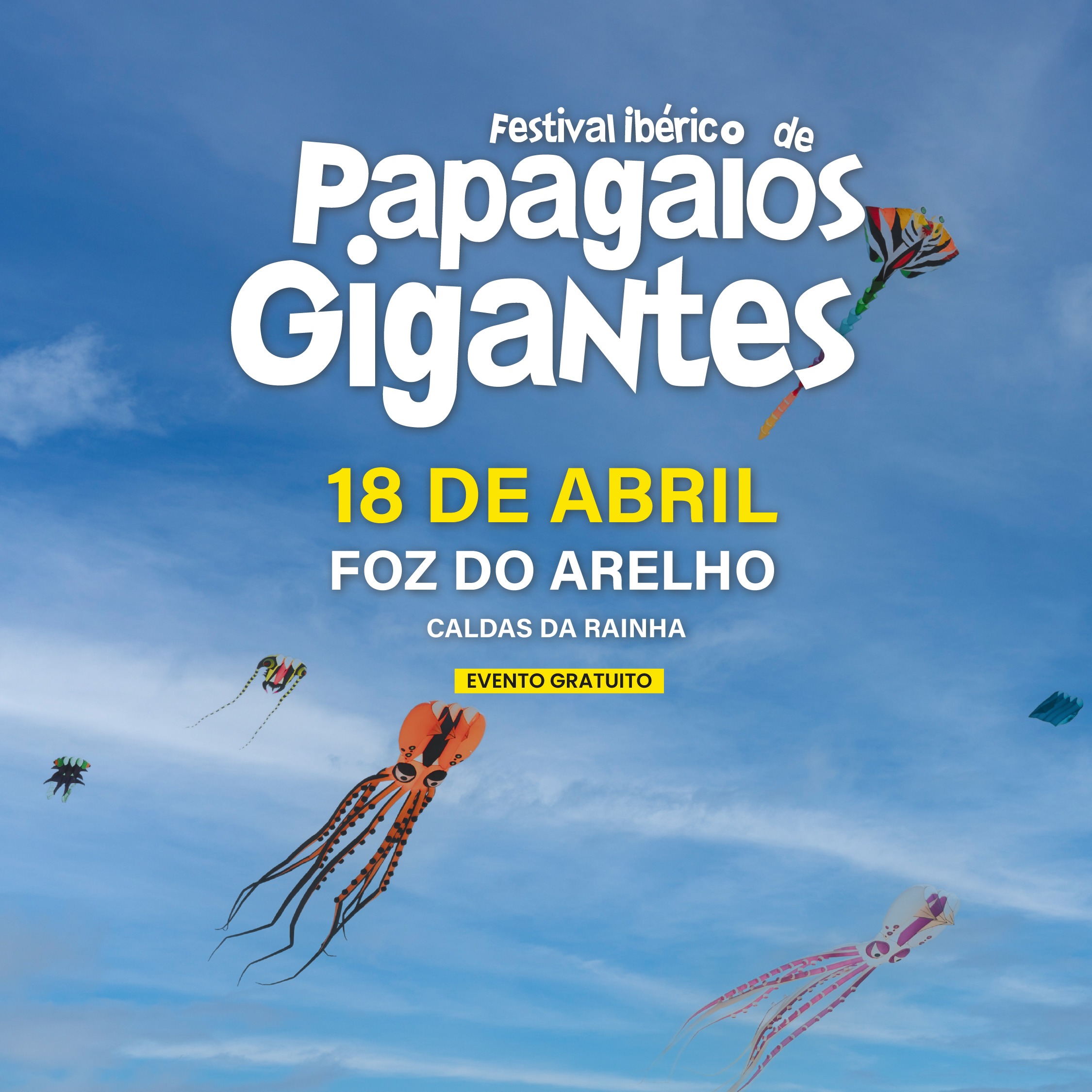 festivalpapagaiosmini